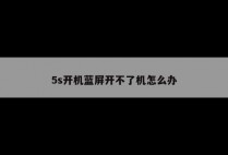 5s开机蓝屏开不了机怎么办
