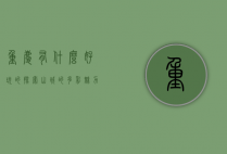 重庆有什么好玩的？探索山城的多彩魅力