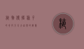 植物传播种子的奇妙方式，大自然的智慧与多样性