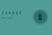 酋长宫殿，奢华与权力的象征
