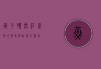 燕子矶，长江之畔的历史与自然交响曲
