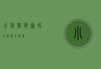 小龙猫，萌宠界的治愈系精灵