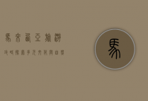 马来西亚旅游攻略，探索多元文化与自然奇观的完美之旅