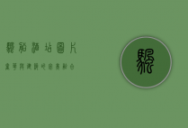 帆船酒店图片，奢华与建筑的完美融合