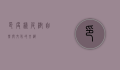 印度橡皮树，自然与文化的交织