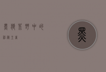 黑狼，荒野中的神秘王者