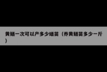 黄鳝一次可以产多少蟮苗（养黄鳝苗多少一斤）