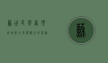 苏世民学者项目，培养全球领导力的卓越平台