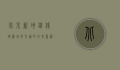北京新地铁线路图，城市交通的未来蓝图