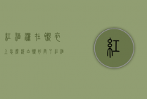 红酒洒在衬衣上怎么洗（白衬衫弄了红酒怎么洗）