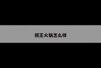 捞王火锅怎么样