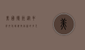 美国德州，从牛仔文化到科技创新的多元之州