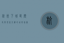 杭州下城区，历史与现代交织的城市瑰宝