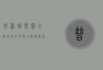 普罗旺斯图片，捕捉南法风情的视觉盛宴
