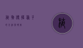 植物传播种子的方法有哪些？