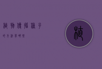 植物传播种子的方法有哪些？