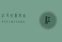 红色记忆与自然风光交织的延安游记