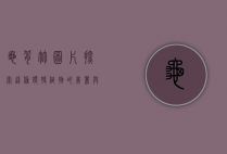 龟背竹图片，探索这种独特植物的美丽与奥秘
