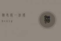 猫老师，一位独特的教育者