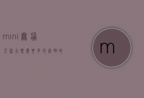 mini无痛人流大概需要多少钱啊的简单介绍