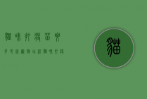 猫咪打疫苗要多少钱（宠物店给猫咪打疫苗要多少钱）