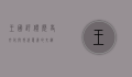 王国评价，历史、文化与现代意义的交织