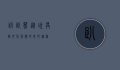 趴趴熊，从玩具到文化符号的奇妙旅程