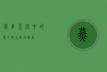 燕隼，天空中的猎手与生态守护者