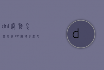 dnf宠物怎么升级（DNF宠物怎么升级超时空）