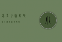 小兔子图片的魅力与背后的故事