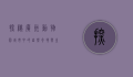 探秘广州动物园，城市中的自然奇境与生态教育乐园