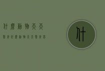 什么动物天天熬夜（什么动物天天熬夜 答案两个字）