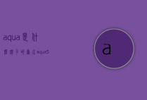 aqua是什么牌子的香水（aqua3是什么香水品牌）