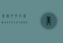 美国中文在线论坛，跨文化交流的桥梁与海外华人的精神家园