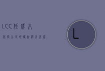 LCC，低成本航空公司的崛起与未来展望