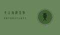 黄山旅游景点，探秘中国最美的山岳风光
