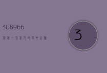3U8966航班，一次非凡的空中之旅