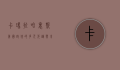 卡玛拉·哈里斯，美国政坛的多元先锋与未来领袖