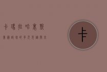 卡玛拉·哈里斯，美国政坛的多元先锋与未来领袖