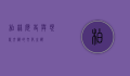 柏林，历史与现代交织的文化之都