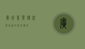 广州蕉叶，传统与创新的美食传奇