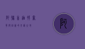 阿联酋迪拜，奢华与创新的交汇之地