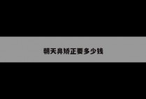 朝天鼻矫正要多少钱