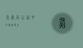 灰卷尾，山林中的优雅舞者