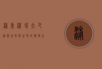 浦东机场大巴，连接城市与世界的便捷之桥