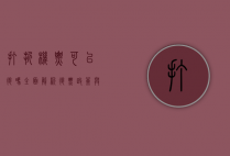 打折机票可以退吗？全面解析退票政策与注意事项