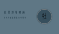 杜叶锡恩，跨越文化的桥梁与社会的变革者