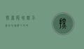探索狮城魅力，新加坡旅游全攻略