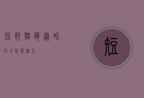 短腿猫，萌宠界的小短腿魅力