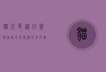 猫爪印，从日常痕迹到文化符号的奇妙旅程